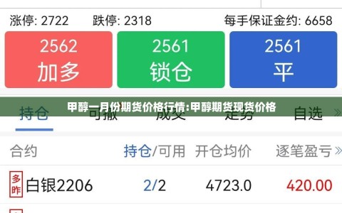 甲醇一月份期货价格行情:甲醇期货现货价格