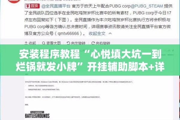 安装程序教程“心悦填大坑一到烂锅就发小牌”开挂辅助脚本+详细开挂安装教程