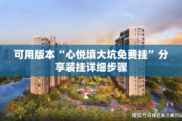 可用版本“心悦填大坑免费挂”分享装挂详细步骤
