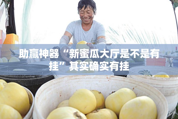 助赢神器“新蜜瓜大厅是不是有挂	”其实确实有挂