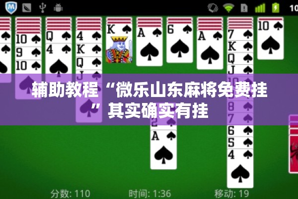 辅助教程“微乐山东麻将免费挂	”其实确实有挂
