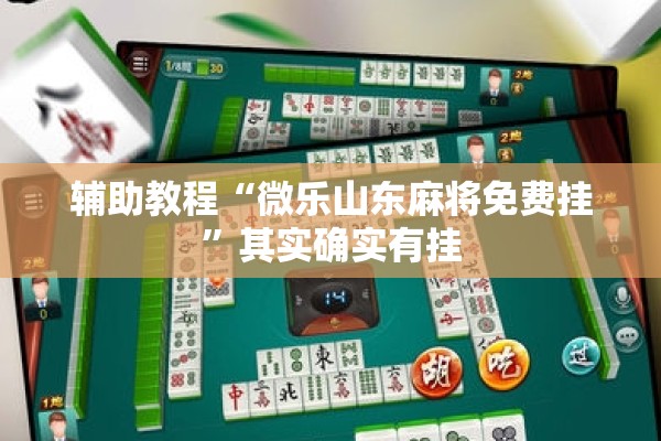 辅助教程“微乐山东麻将免费挂”其实确实有挂