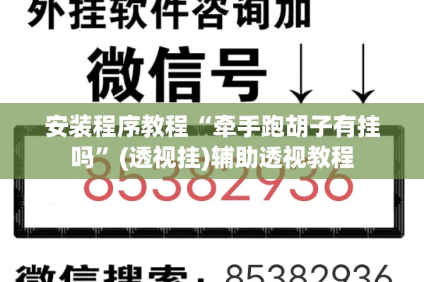 安装程序教程“牵手跑胡子有挂吗”(透视挂)辅助透视教程