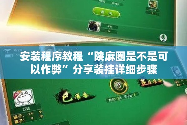 安装程序教程“陕麻圈是不是可以作弊”分享装挂详细步骤