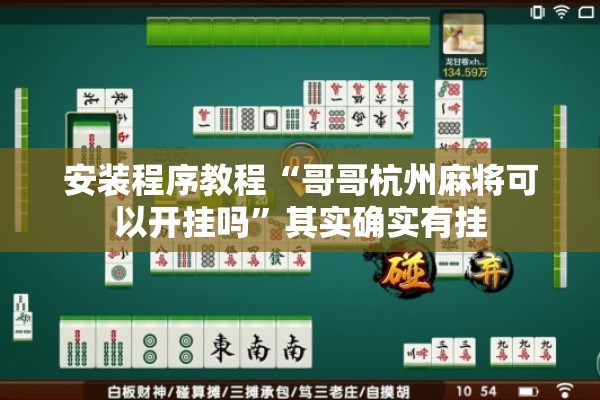 安装程序教程“哥哥杭州麻将可以开挂吗”其实确实有挂