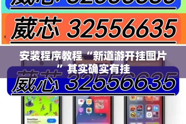安装程序教程“新道游开挂图片	”其实确实有挂