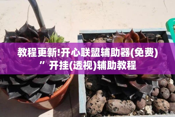 教程更新!开心联盟辅助器(免费)”开挂(透视)辅助教程