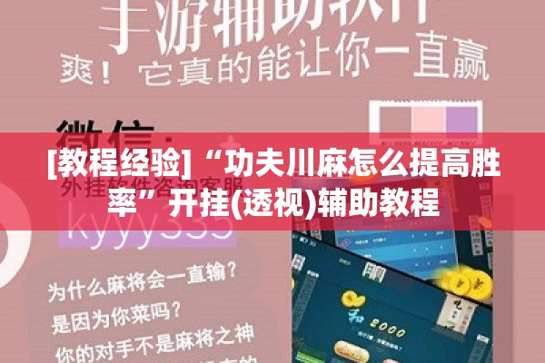 [教程经验]“功夫川麻怎么提高胜率	”开挂(透视)辅助教程