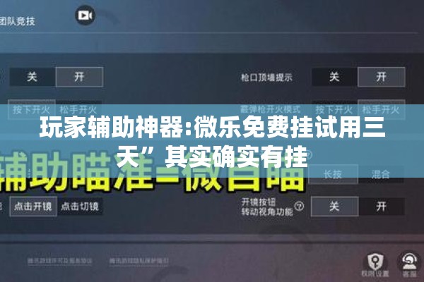 玩家辅助神器:微乐免费挂试用三天	”其实确实有挂