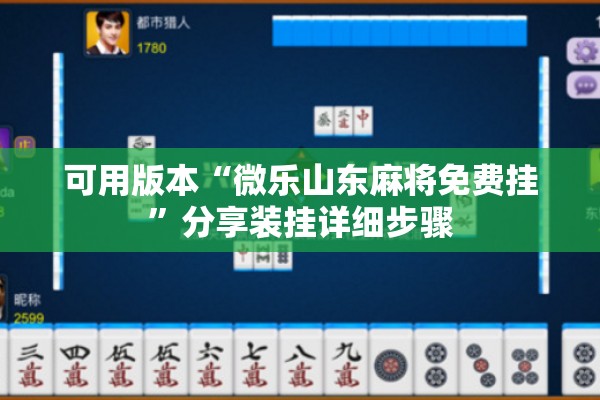 可用版本“微乐山东麻将免费挂”分享装挂详细步骤