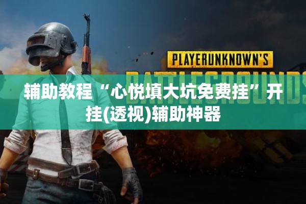 辅助教程“心悦填大坑免费挂	”开挂(透视)辅助神器