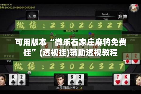 可用版本“微乐石家庄麻将免费挂	”(透视挂)辅助透视教程
