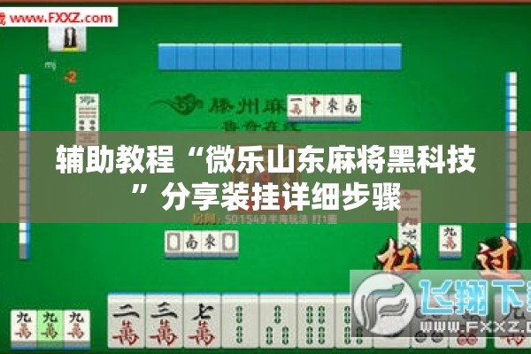 辅助教程“微乐山东麻将黑科技”分享装挂详细步骤