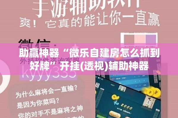 助赢神器“微乐自建房怎么抓到好牌”开挂(透视)辅助神器