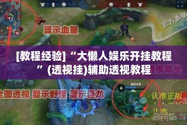[教程经验]“大懒人娱乐开挂教程	”(透视挂)辅助透视教程