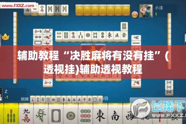 辅助教程“决胜麻将有没有挂”(透视挂)辅助透视教程