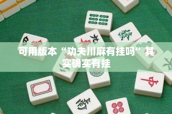 可用版本“功夫川麻有挂吗”其实确实有挂