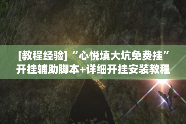 [教程经验]“心悦填大坑免费挂”开挂辅助脚本+详细开挂安装教程