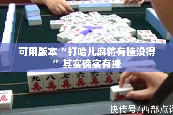 可用版本“打哈儿麻将有挂没得”其实确实有挂