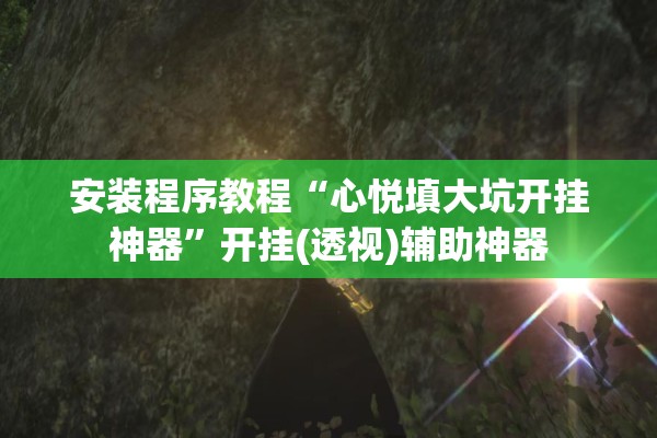 安装程序教程“心悦填大坑开挂神器	”开挂(透视)辅助神器