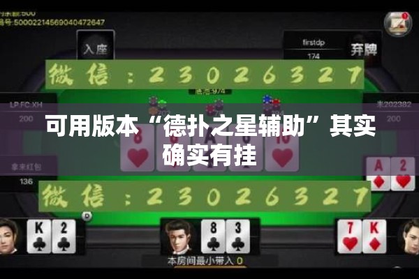 可用版本“德扑之星辅助”其实确实有挂