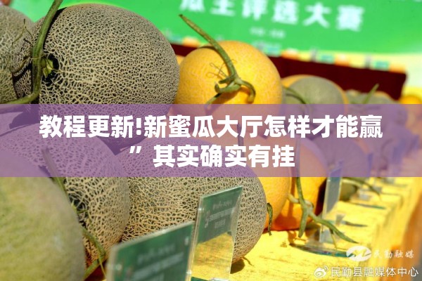 教程更新!新蜜瓜大厅怎样才能赢”其实确实有挂