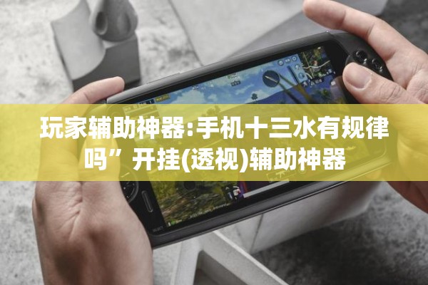 玩家辅助神器:手机十三水有规律吗	”开挂(透视)辅助神器