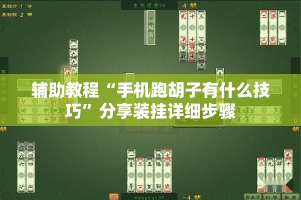 辅助教程“手机跑胡子有什么技巧”分享装挂详细步骤