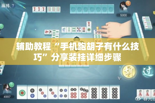 辅助教程“手机跑胡子有什么技巧”分享装挂详细步骤