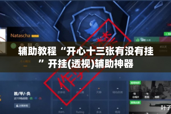 辅助教程“开心十三张有没有挂	”开挂(透视)辅助神器