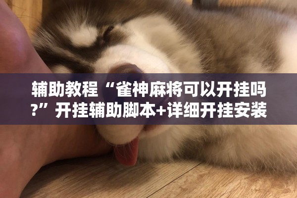 辅助教程“雀神麻将可以开挂吗?	”开挂辅助脚本+详细开挂安装教程