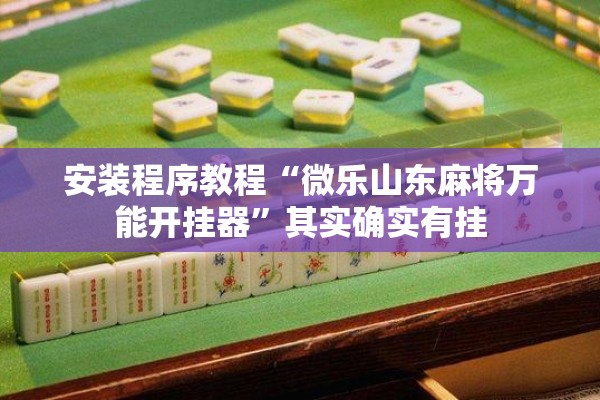 安装程序教程“微乐山东麻将万能开挂器”其实确实有挂