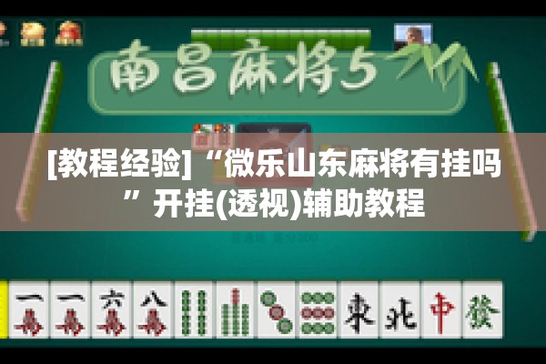 [教程经验]“微乐山东麻将有挂吗	”开挂(透视)辅助教程