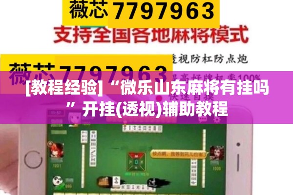 [教程经验]“微乐山东麻将有挂吗”开挂(透视)辅助教程
