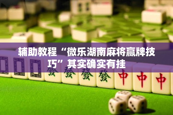辅助教程“微乐湖南麻将赢牌技巧”其实确实有挂