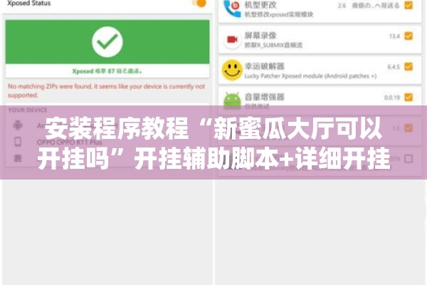 安装程序教程“新蜜瓜大厅可以开挂吗	”开挂辅助脚本+详细开挂安装教程