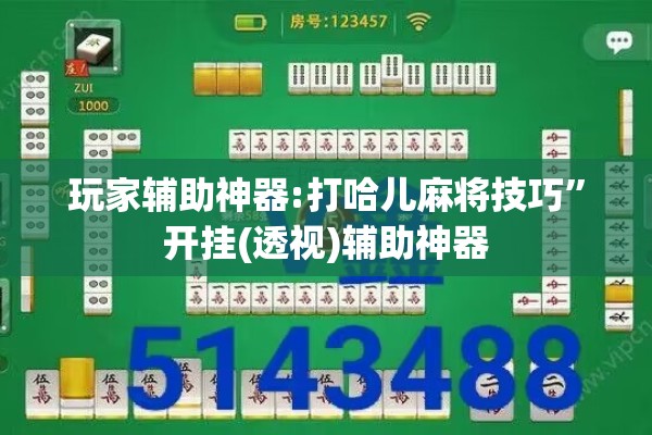 玩家辅助神器:打哈儿麻将技巧”开挂(透视)辅助神器