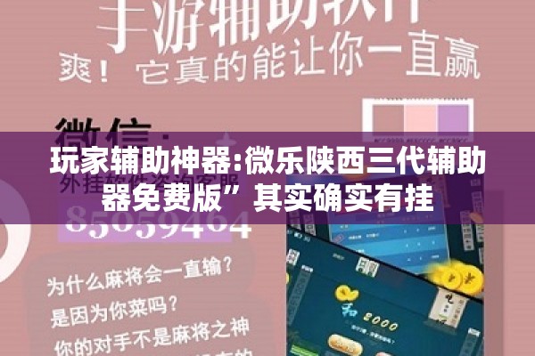 玩家辅助神器:微乐陕西三代辅助器免费版	”其实确实有挂