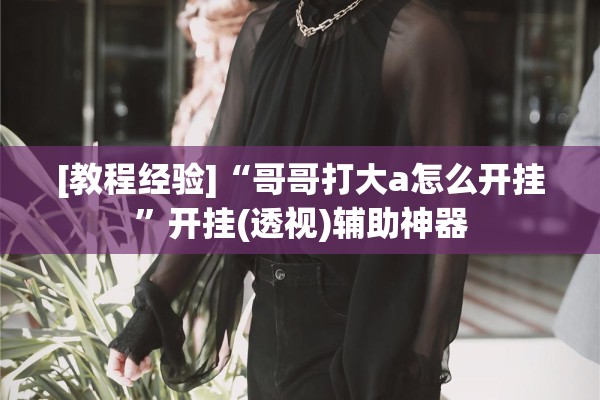 [教程经验]“哥哥打大a怎么开挂”开挂(透视)辅助神器