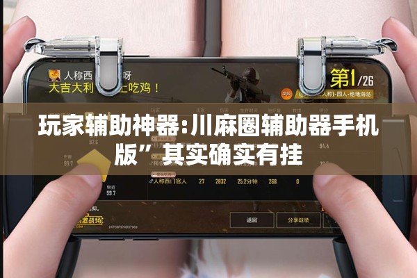 玩家辅助神器:川麻圈辅助器手机版”其实确实有挂