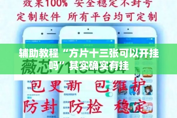 辅助教程“方片十三张可以开挂吗	”其实确实有挂