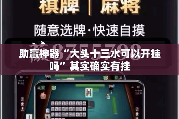 助赢神器“大头十三水可以开挂吗”其实确实有挂