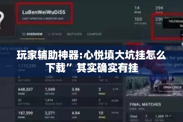 玩家辅助神器:心悦填大坑挂怎么下载”其实确实有挂