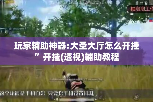 玩家辅助神器:大圣大厅怎么开挂”开挂(透视)辅助教程