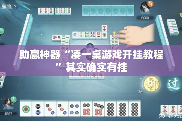 助赢神器“凑一桌游戏开挂教程	”其实确实有挂