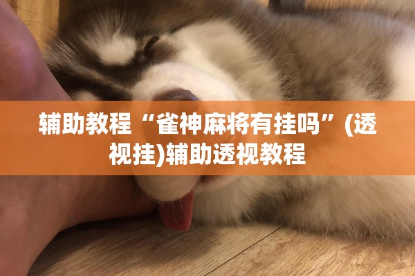 辅助教程“雀神麻将有挂吗”(透视挂)辅助透视教程