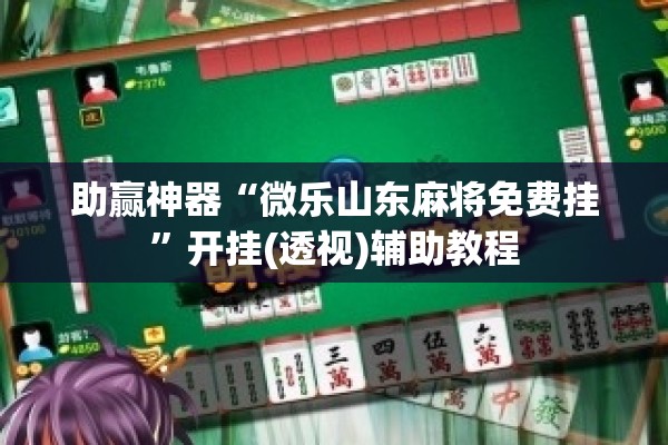 助赢神器“微乐山东麻将免费挂	”开挂(透视)辅助教程