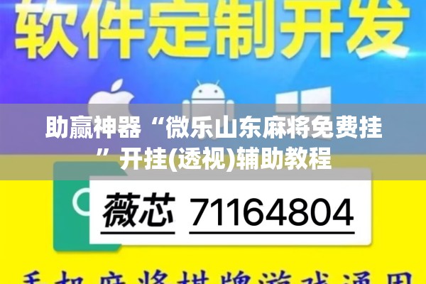 助赢神器“微乐山东麻将免费挂”开挂(透视)辅助教程