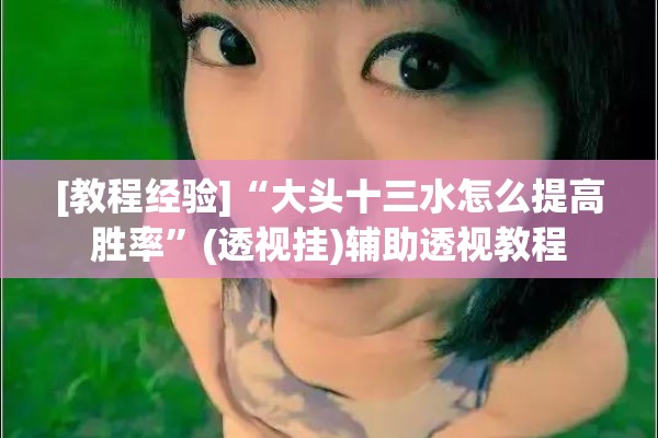 [教程经验]“大头十三水怎么提高胜率”(透视挂)辅助透视教程