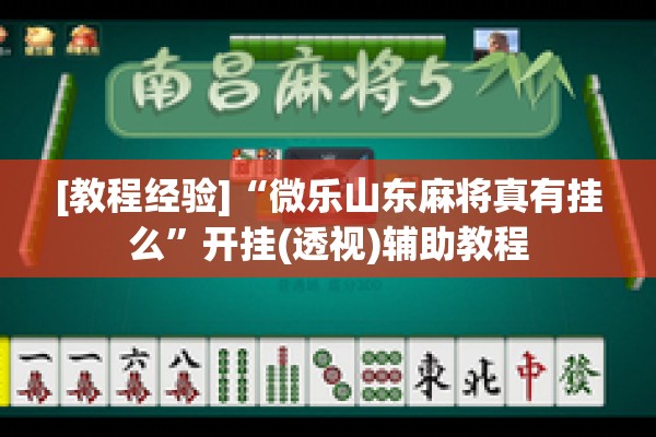[教程经验]“微乐山东麻将真有挂么”开挂(透视)辅助教程